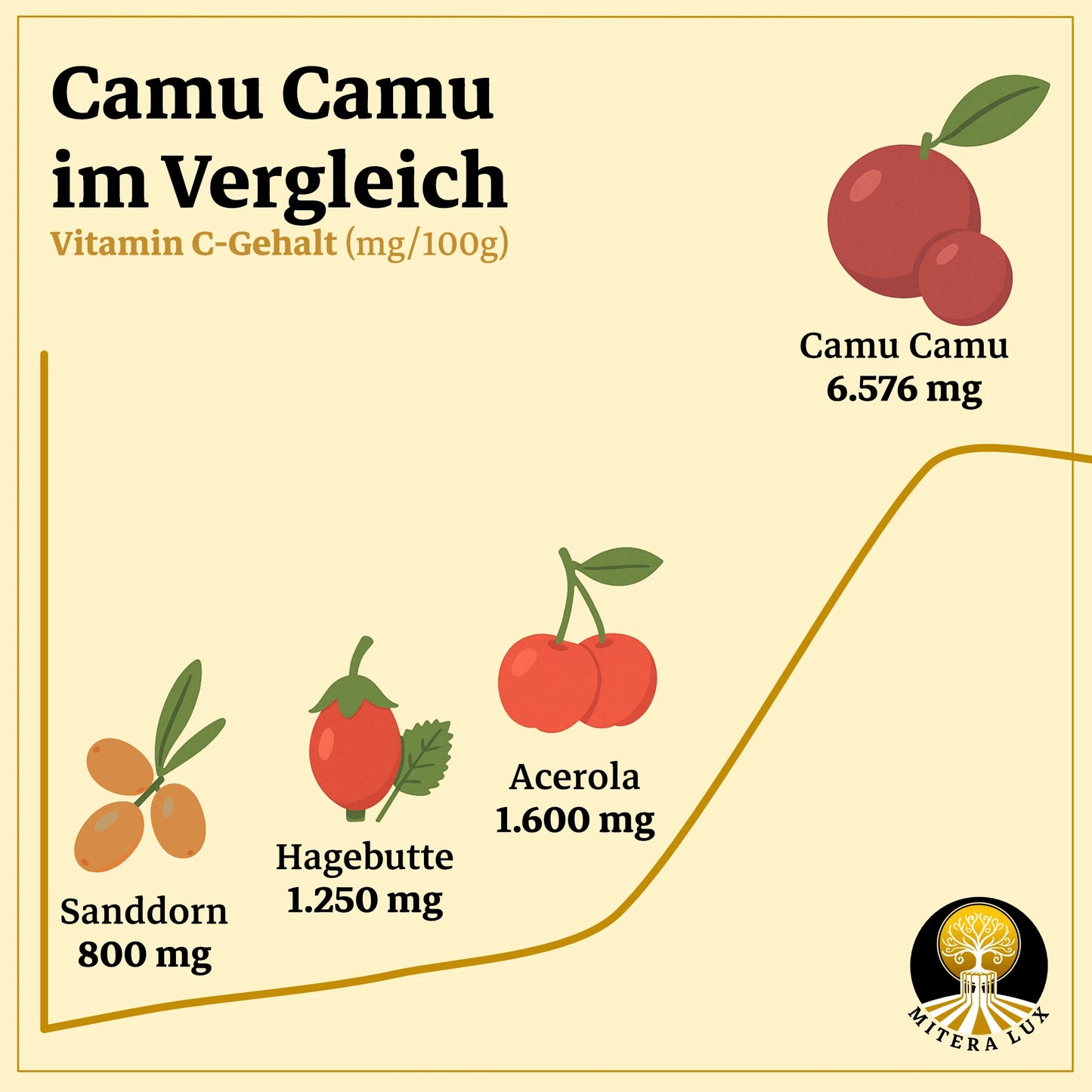 Vitamin C aus Camu Camu – Hoch bioverfügbar & vegan - Kraftwelle