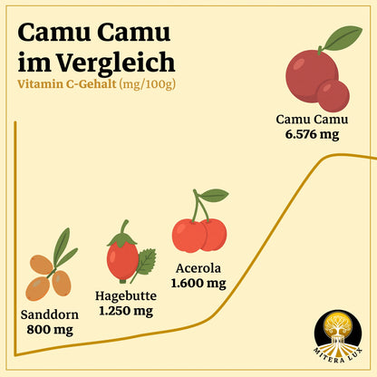 Vitamin C aus Camu Camu – Hoch bioverfügbar & vegan - Kraftwelle