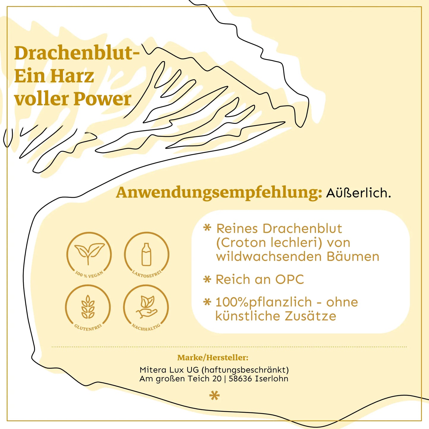 Camu Camu & OPC Bundle – Natürliches Stresskiller-Paket - Kernkraft Bundle
