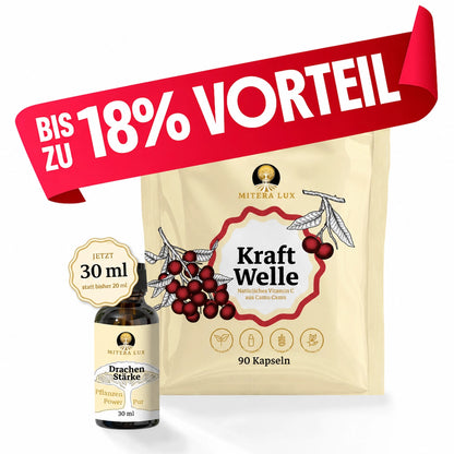 Camu Camu & OPC Bundle – Natürliches Stresskiller-Paket - Kernkraft Bundle