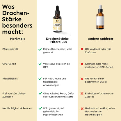Drachenblut – unsere DrachenStärke für natürliche Balance